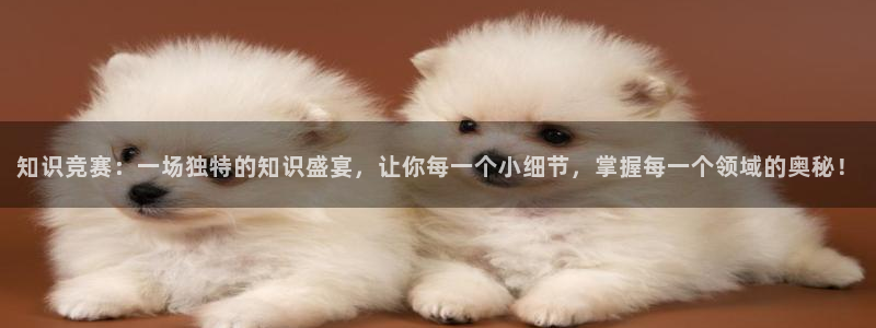 暗火颜茜和颜栖迟趣笔阁：知识竞赛：一场独特的知识盛宴，让你每一个小细节，掌握每一个领域的奥秘！