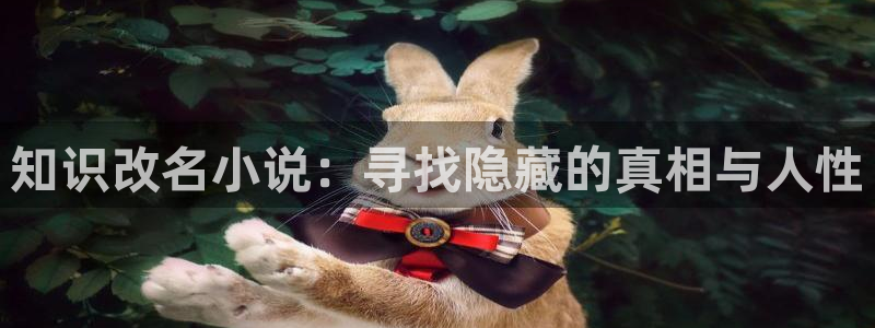 斗破苍穹小说趣笔阁：知识改名小说：寻找隐藏的真相与人性