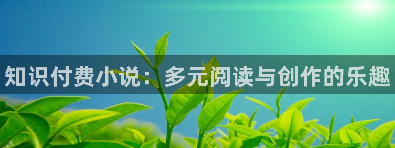 大王饶命小说趣笔阁：知识付费小说：多元阅读与创作的乐趣