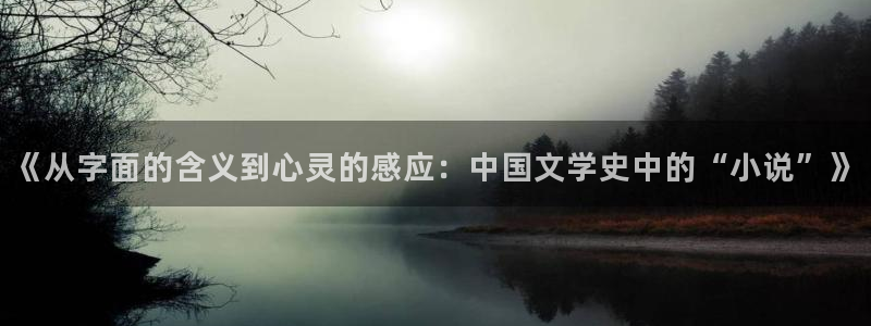 暗火颜茜和颜栖迟趣笔阁：《从字面的含义到心灵的感应：中国文学史中的“小说”》