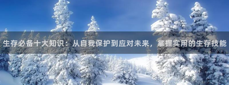 步步惊情韩雪老谢趣笔阁：生存必备十大知识：从自我保护到应对未来，掌握实用的生存技能