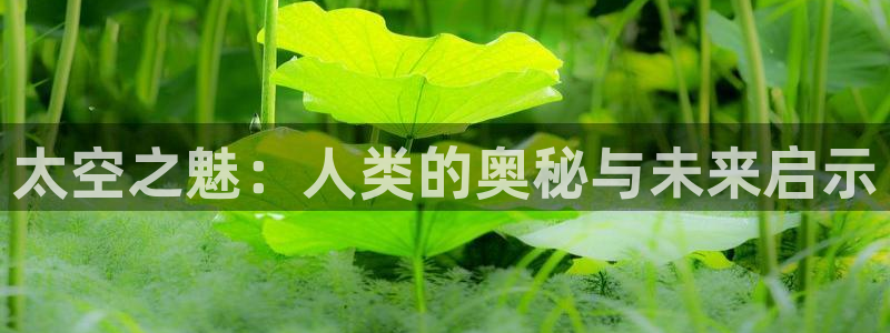 趣笔阁全本小说网：太空之魅：人类的奥秘与未来启示