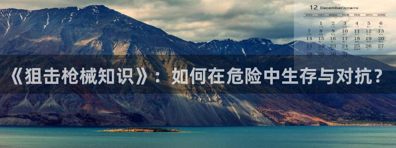 林枫与苏慕白小说趣笔阁：《狙击枪械知识》：如何在危险中生存与对抗？