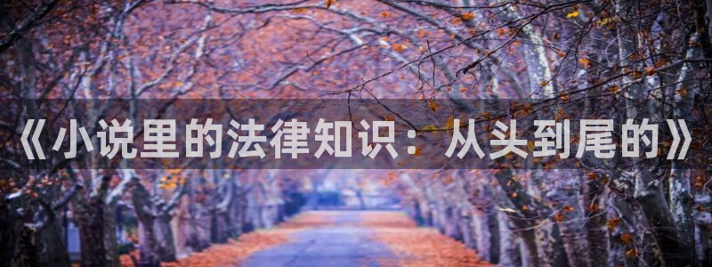 绝世武魂小说趣笔阁：《小说里的法律知识：从头到尾的》